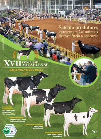 Revista XVII Concurso Micaelense