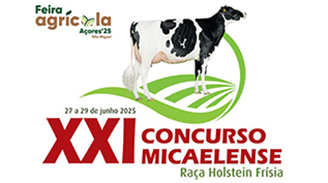 XXI CONCURSO MICAELENSE - CLASSIFICAES